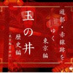 玉の井私娼窟（東京都墨田区）｜おいらんだ国酔夢譚｜