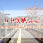阪和線山中渓駅の怪【阪和線歴史紀行】