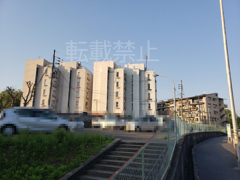 ヤングタウンにれの町