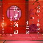 武蔵新田の赤線（東京都大田区）｜遊郭・赤線跡をゆく｜