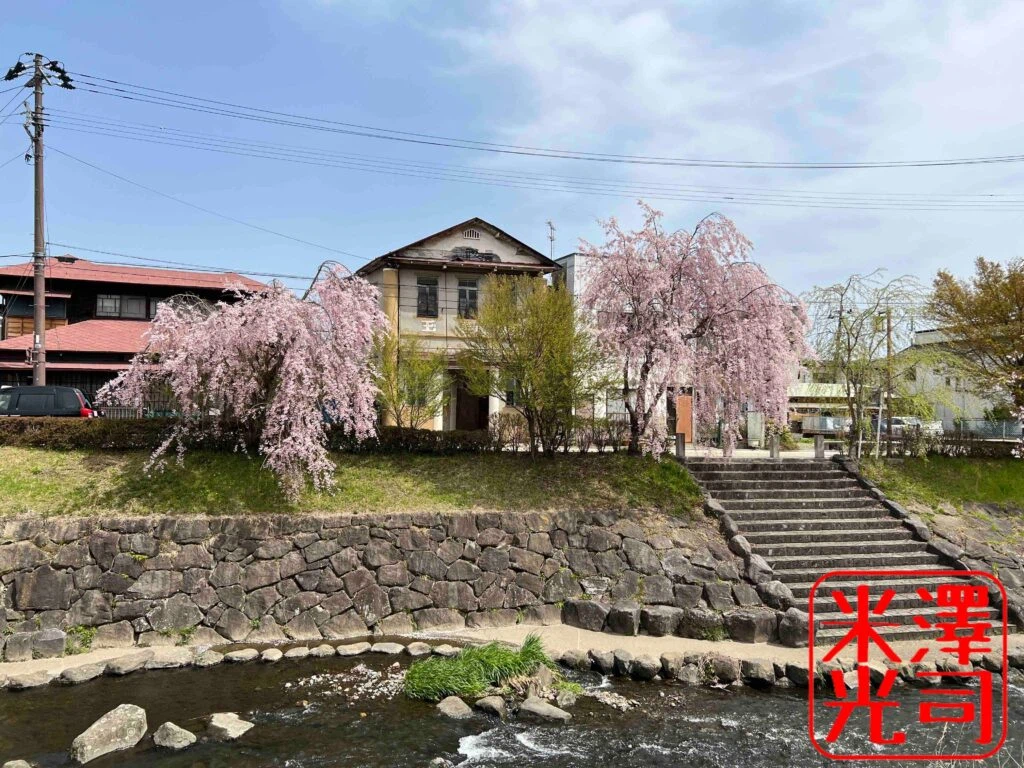 白河遊郭の桜