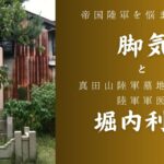 陸軍と脚気－真田山陸軍墓地に眠る「戦病死」に隠された真実