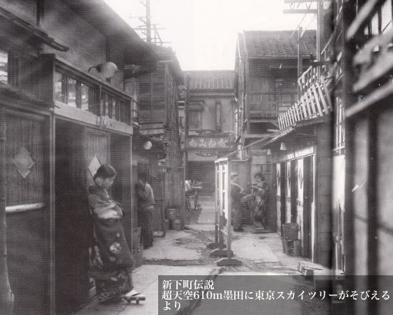 東京の私娼窟玉の井（『新下町伝説』東京新聞出版局）