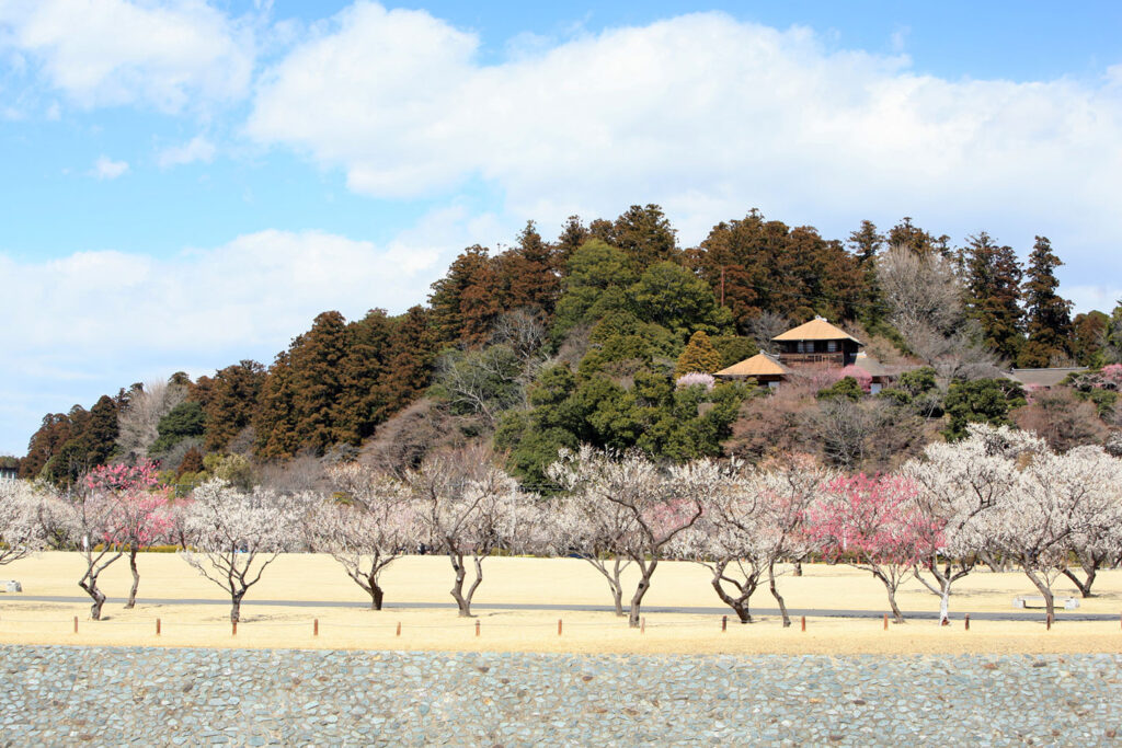 水戸の偕楽園